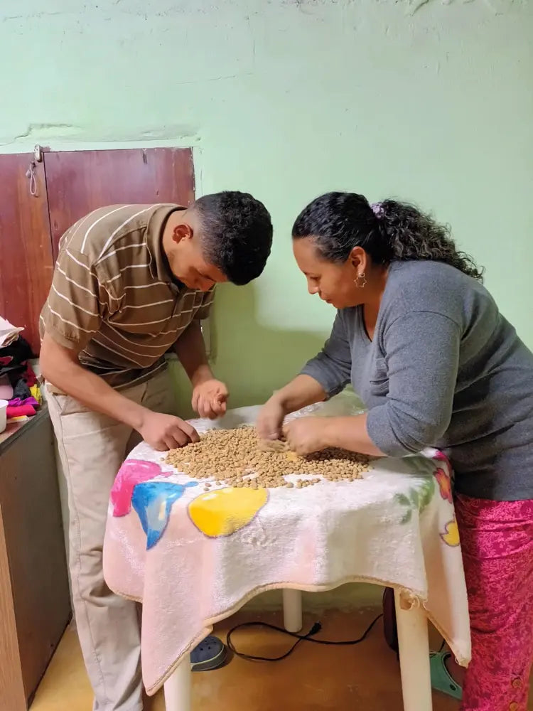 Decaf Project Kit by James Hoffmann