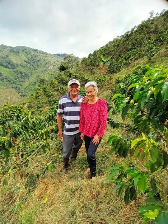 Decaf Project Kit by James Hoffmann