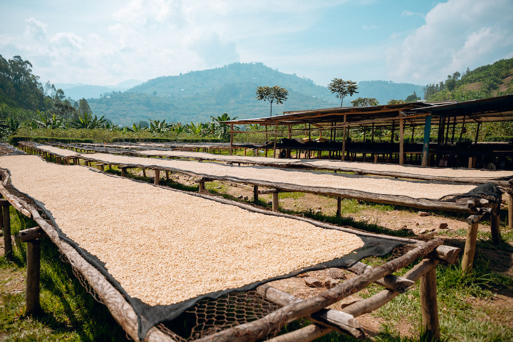 Rwanda Vunga