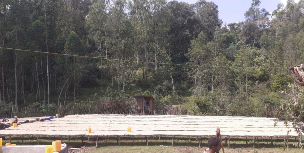 Ethiopia Metu Hihud Gebaya