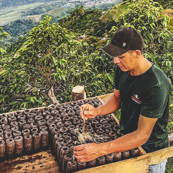 Colombia Jorge Rojas El Jardin Honey (Light Roast)
