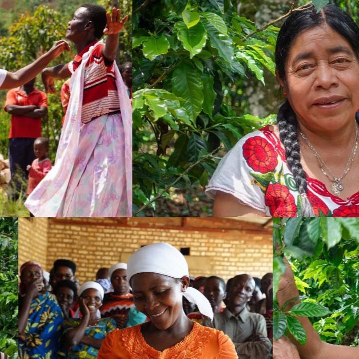 She Roars Espresso Blend: Burundi & Guatemala