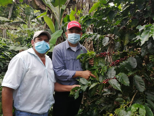 Nicaragua SACACLI Cooperative