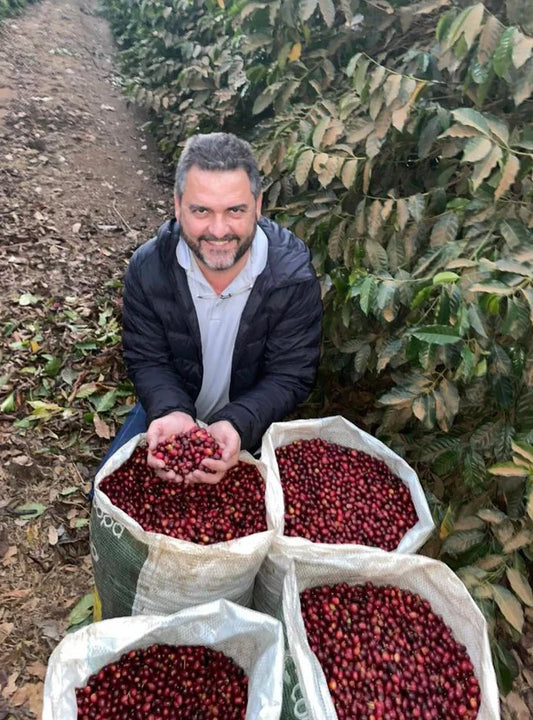 Colombia Finca Milan Nitro Melon Co-ferment