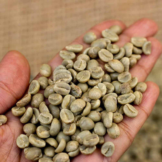 green coffee beans