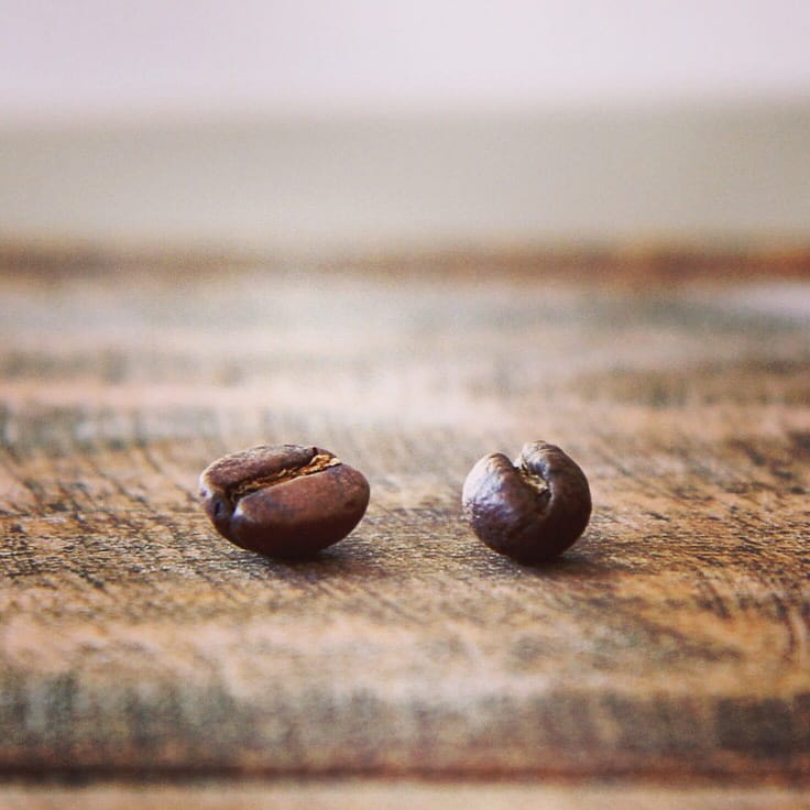What Is Peaberry Coffee, And Why Is It Special?