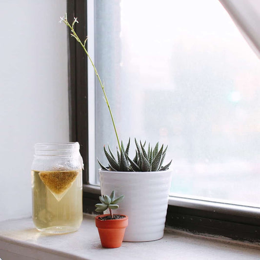 Coffee and yoga - Why is tea more prevalant in yoga circles?