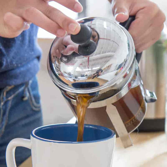 Which French Press Should I Buy?