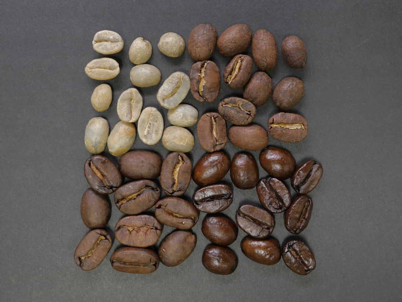 An In-depth Guide to the Profiles in the Coffee Explorer Kit