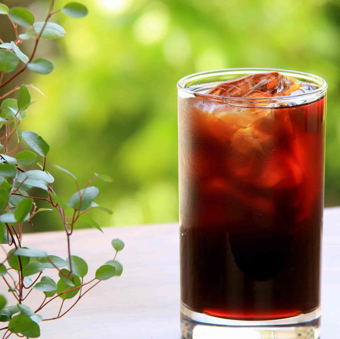 cold brewed coffee