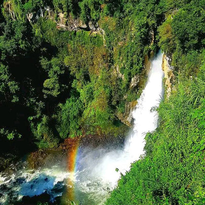 Mexico Veracruz Mafafas