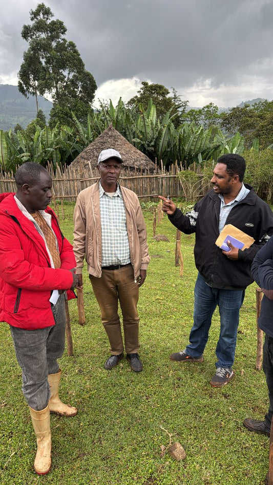 Ethiopia Bekele Yutute Natural