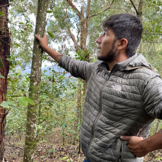 Peru Germán Carranza Barbosa Natural