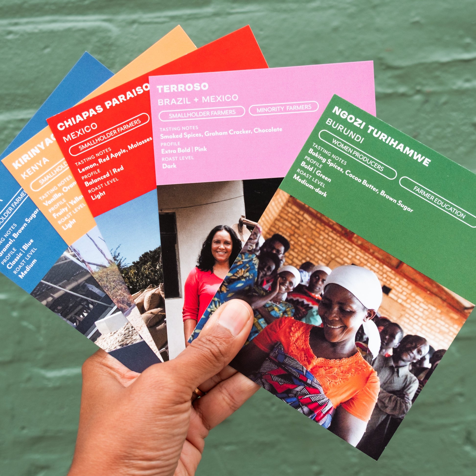 Hand holding multiple colorful coffee info cards with images and text against a green wall.