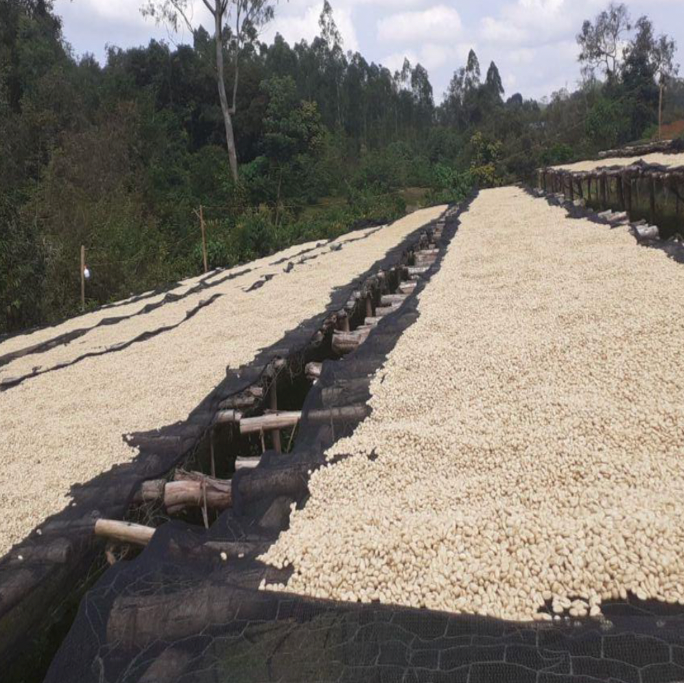 Ethiopia Metu
