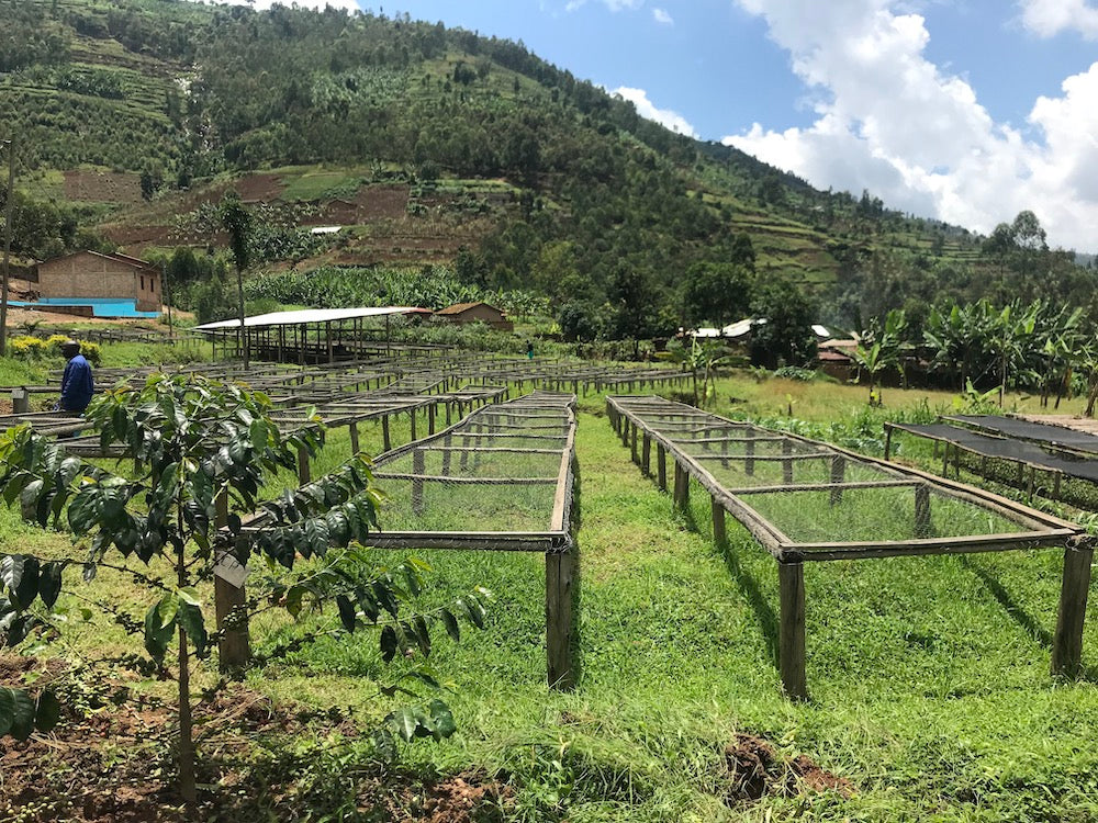 Rwanda Kinini Village