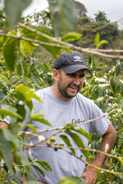 Colombia Jairo Arcila Passionfruit Co-ferment