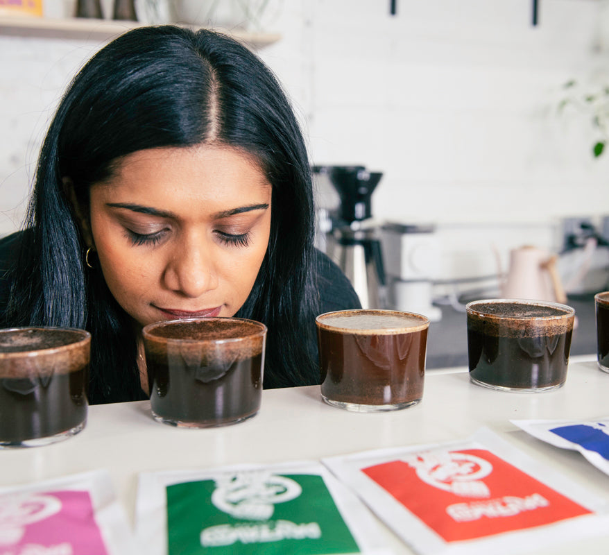 Coffee tasting session