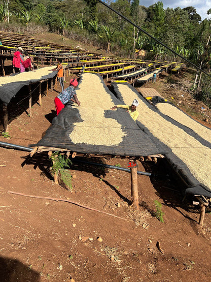 Ethiopia Chelbesa Habtamu Fikadu
