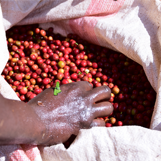Burundi Akeza