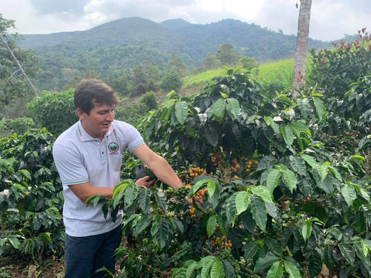ROC Organic Peru Chirinos
