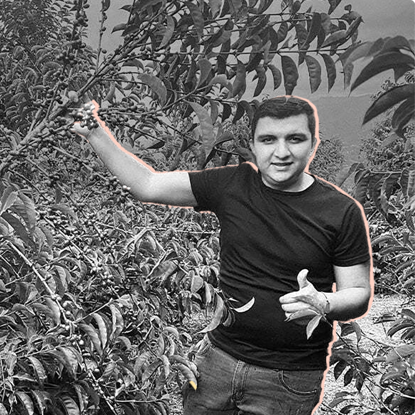Nestor Lasso Anaerobic Natural