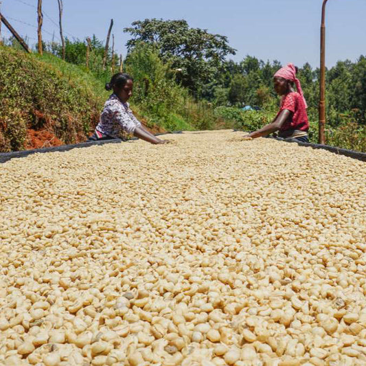 Kenya Kirinyaga Kii