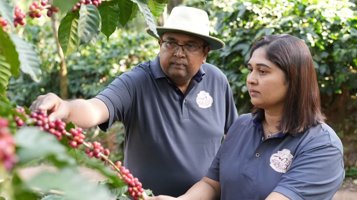 India Ratnagiri Rosewater (Light Roast)