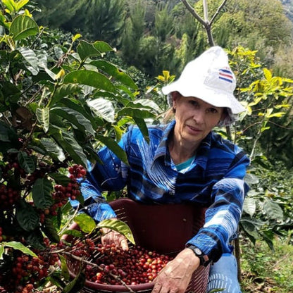 Costa Rica Finca Amalieth