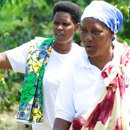 African Great Lakes (Kenya BOMA, Vunga, Congo, Turihamwe) (Medium Roast)