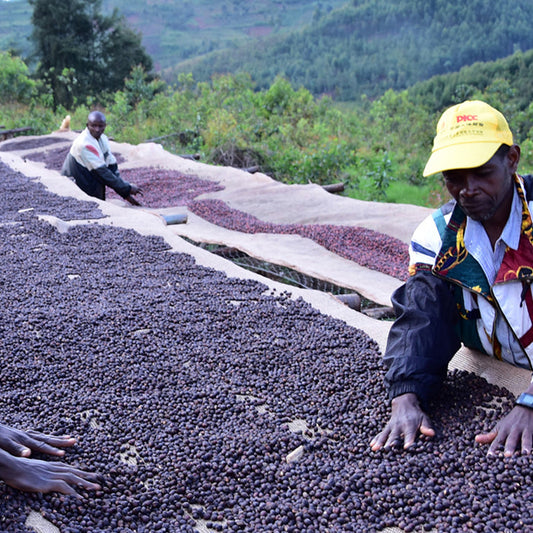 Burundi Akeza