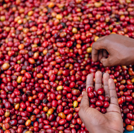 Rwanda Dukorere Kawa Bukure