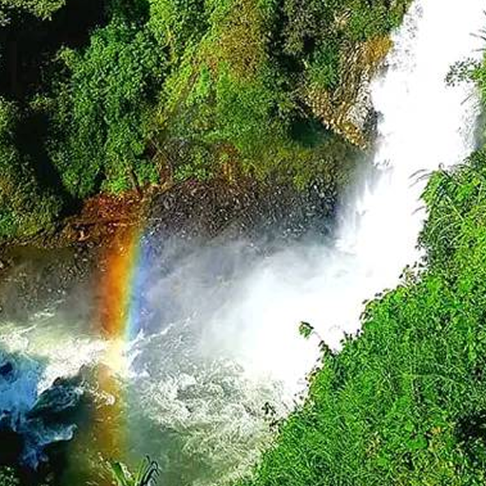 Mexico Veracruz Mafafas