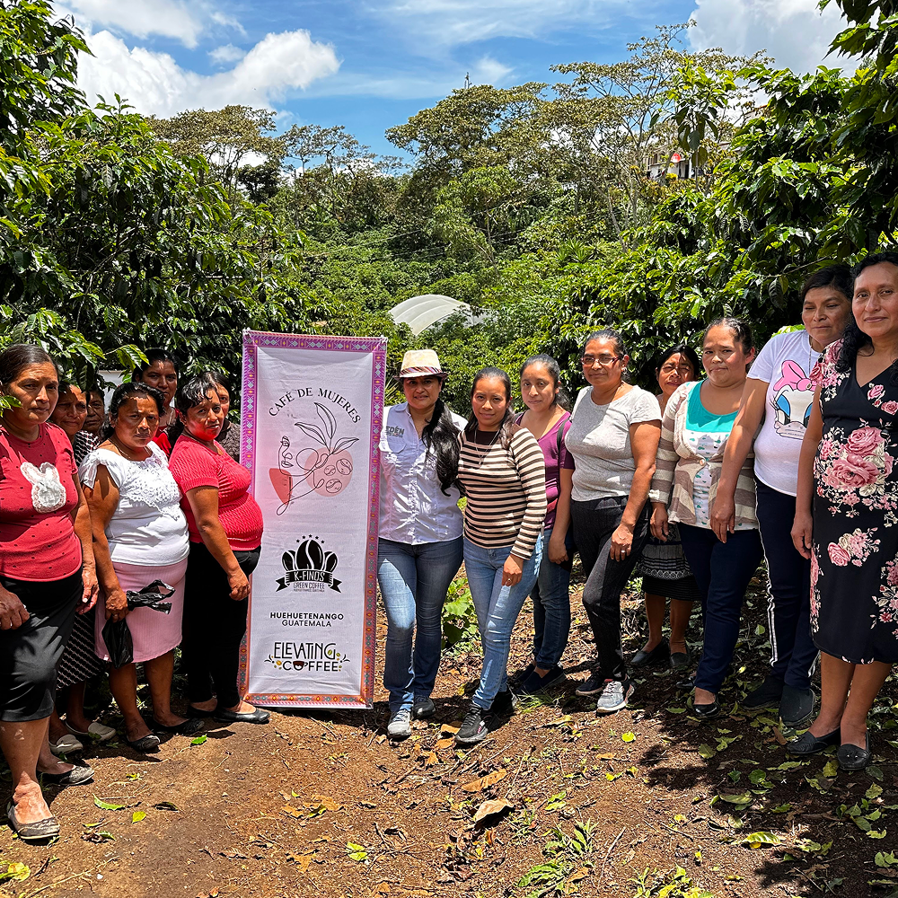 Winter Spice Ethiopia + Guatemala + India