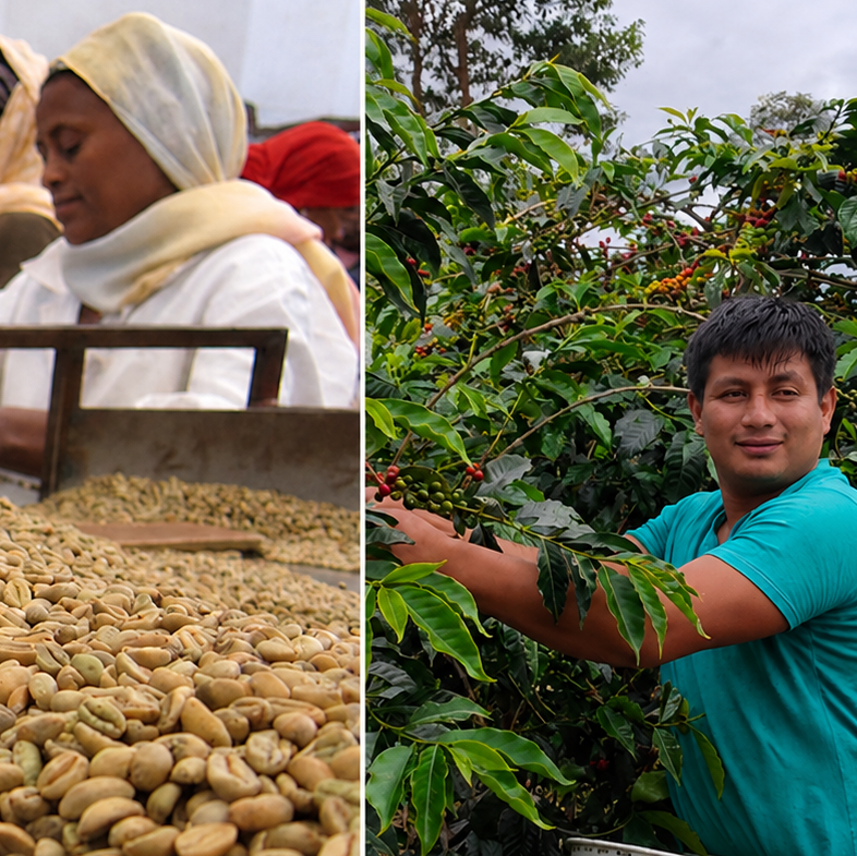 Ethiopia Agaro + Peru Huabal