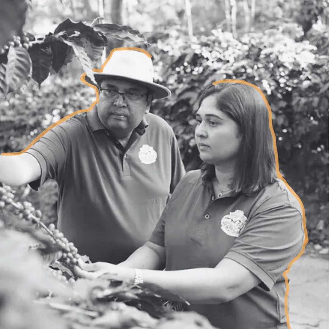 India Ratnagiri Scoby Anaerobic 72h