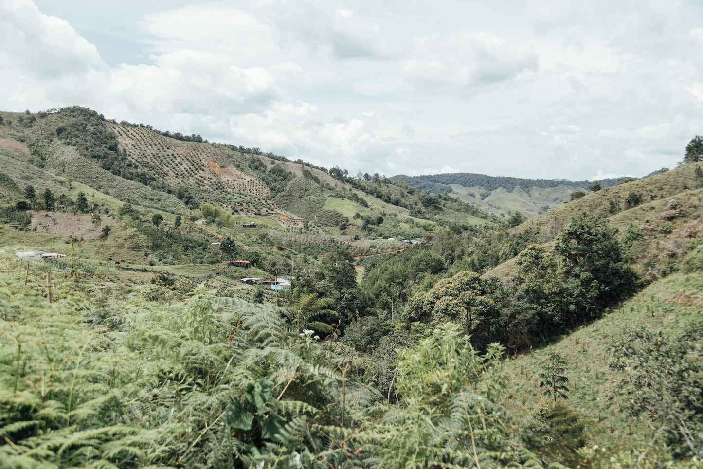 Colombia Hector Lopez Chiroso